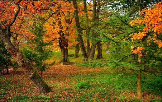 1162344 (a): :2560x1610